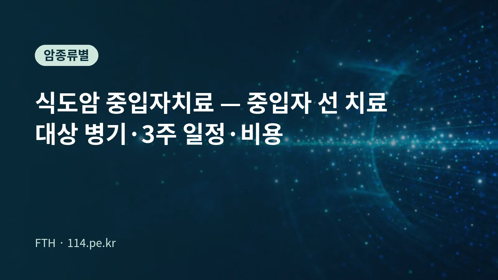 식도암 중입자치료 대표 이미지