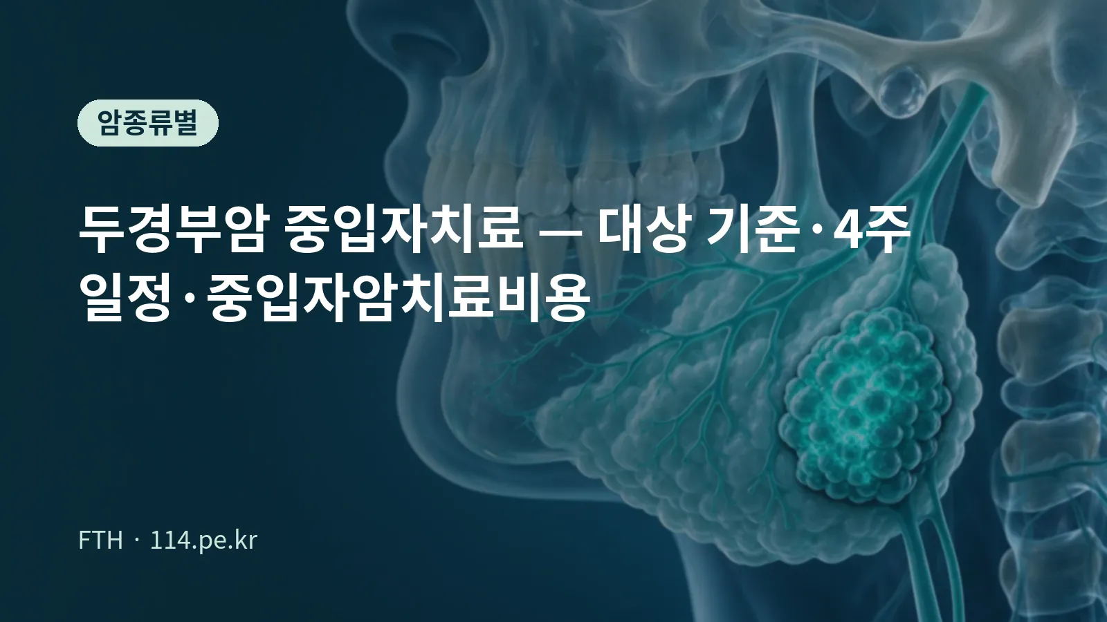 头颈部癌重离子治疗概念图