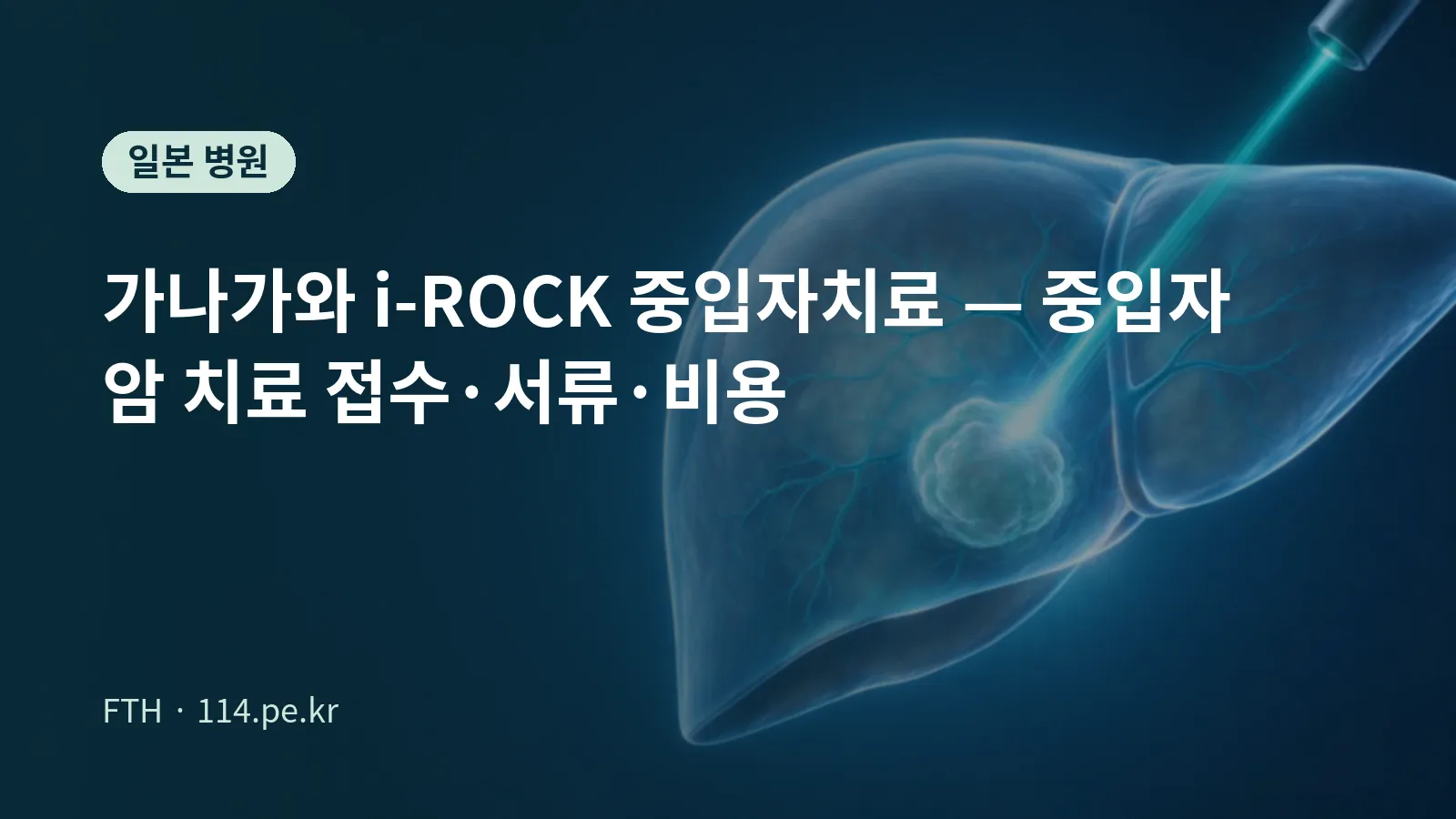 神奈川i-ROCK重离子治疗申请流程与费用概览图