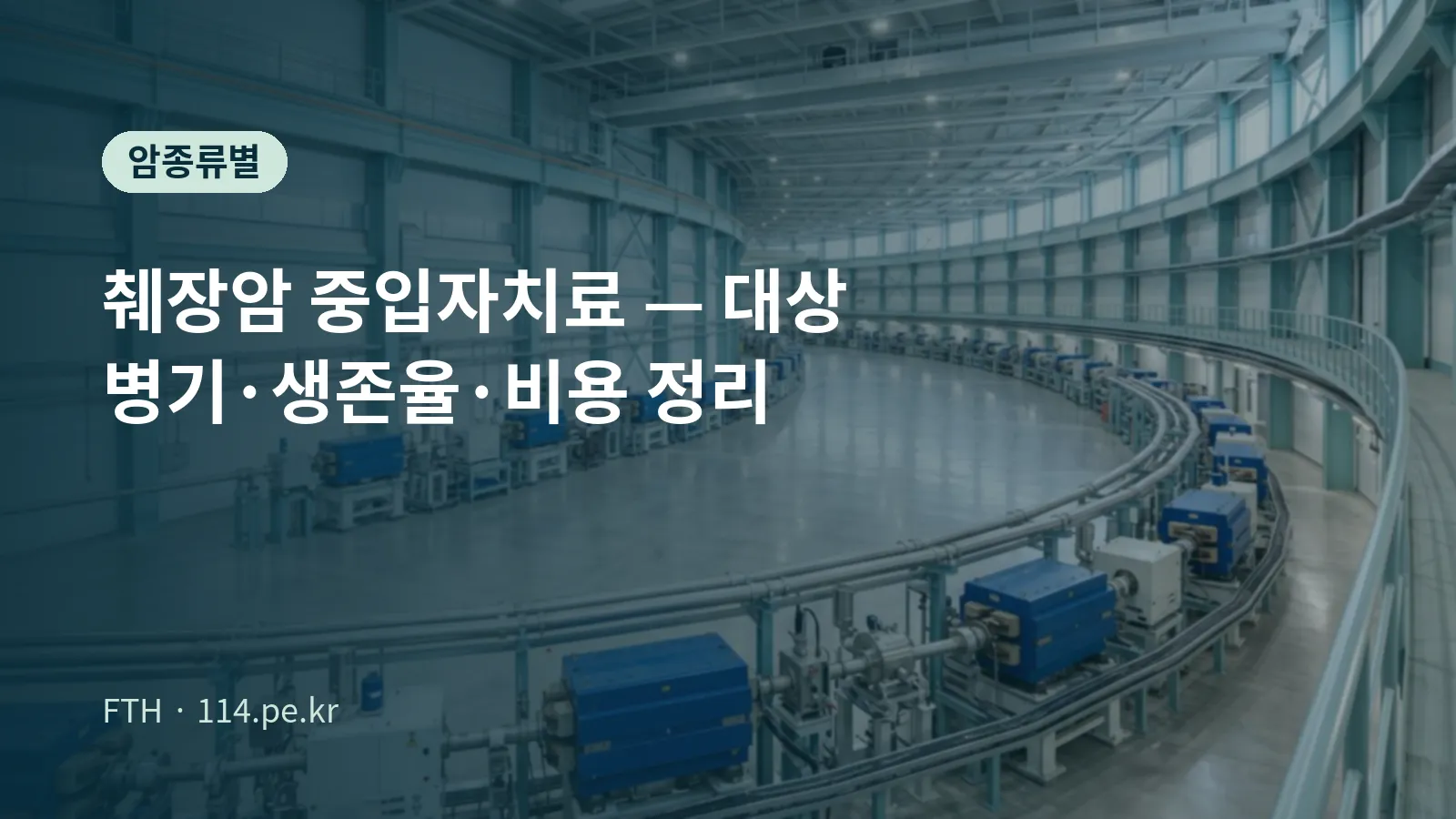 췌장암 중입자치료 — 대상 병기·생존율·비용 정리
